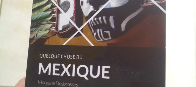 Livre : Quelque chose du Mexique, découvrez le pays sous un nouveau jour Livre : Quelque chose du Mexique, découvrez le pays sous un nouveau jour