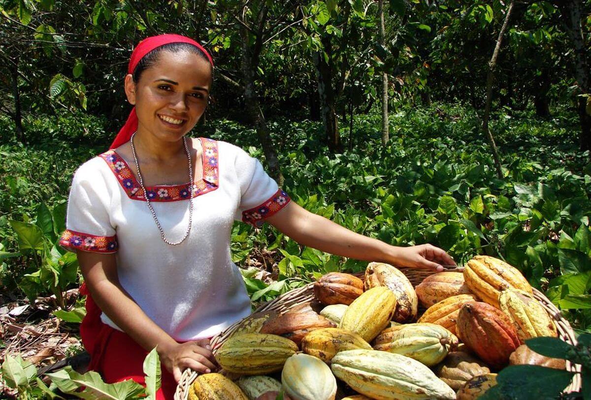 la Ruta del Cacao dans le Chiapas 1